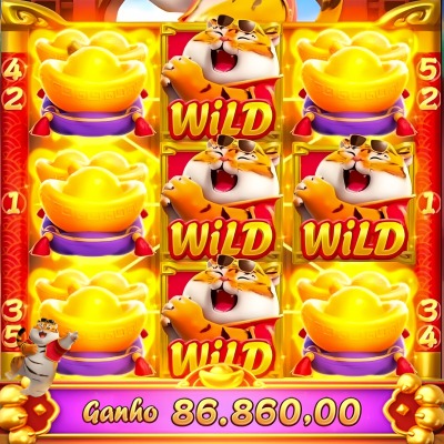 556bet